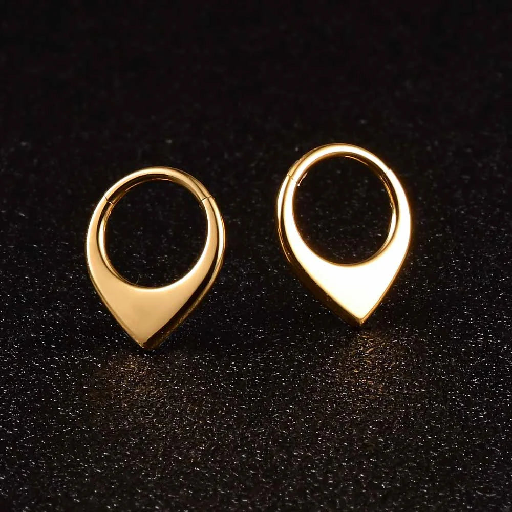 Doearko Nose Rings Tragus Helix Piercing Drop Earring for Women Rook Lobe Cartilage Ear Percing Earring Stainless Steel Jewelry