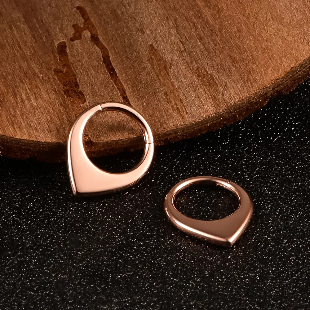 Doearko Nose Rings Tragus Helix Piercing Drop Earring for Women Rook Lobe Cartilage Ear Percing Earring Stainless Steel Jewelry