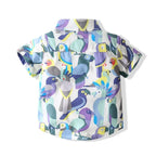 2025 Newborns Baby Boys Sets Toddler Suit Children Matching Summer Pants Kids Clothes Cotton Clothing Formal Kid T-Shirt Shorts