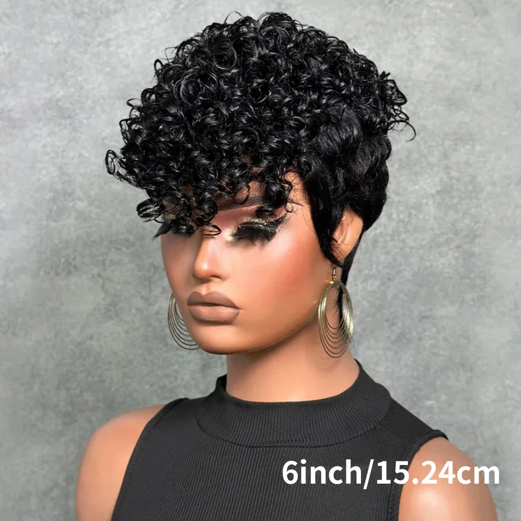 Afro Kinky Curly Wig Human Hair Short Wigs For Woman Human Hair 100% Natural  Brazilian Hair Wigs Full Machine Made