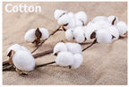 Baby Clothes Boys Cardigan 6 to 9 12 18 24 Months Soft Cotton White Black Gray Light Blue Toddler Girls Sweaters Kids Cardigans